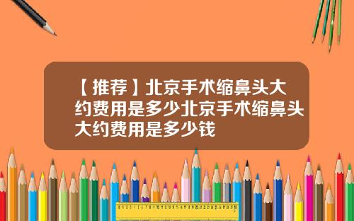 【推荐】北京手术缩鼻头大约费用是多少北京手术缩鼻头大约费用是多少钱