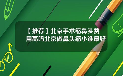 【推荐】北京手术缩鼻头费用高吗北京做鼻头缩小谁最好