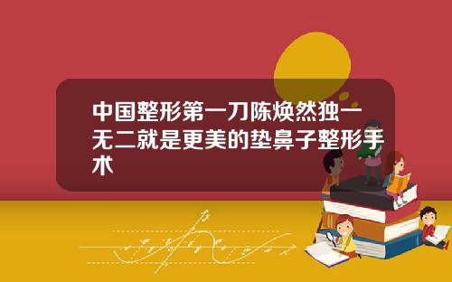 中国整形第一刀陈焕然独一无二就是更美的垫鼻子整形手术