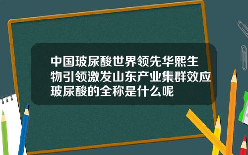 中国玻尿酸世界领先华熙生物引领激发山东产业集群效应玻尿酸的全称是什么呢