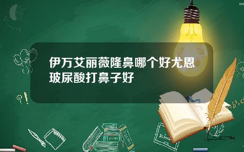 伊万艾丽薇隆鼻哪个好尤恩玻尿酸打鼻子好