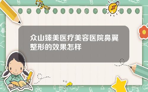 众山臻美医疗美容医院鼻翼整形的效果怎样