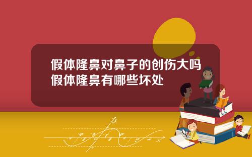 假体隆鼻对鼻子的创伤大吗假体隆鼻有哪些坏处