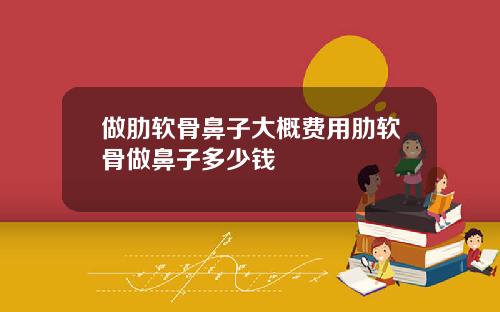 做肋软骨鼻子大概费用肋软骨做鼻子多少钱