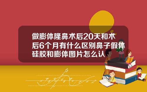 做膨体隆鼻术后20天和术后6个月有什么区别鼻子假体硅胶和膨体图片怎么认