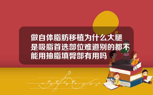 做自体脂肪移植为什么大腿是吸脂首选部位难道别的都不能用抽脂填臀部有用吗