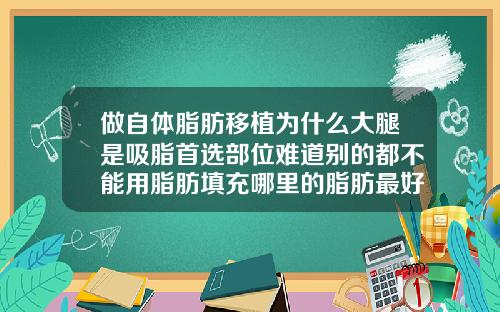 做自体脂肪移植为什么大腿是吸脂首选部位难道别的都不能用脂肪填充哪里的脂肪最好