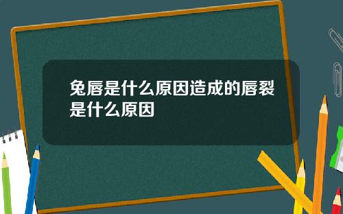 兔唇是什么原因造成的唇裂是什么原因