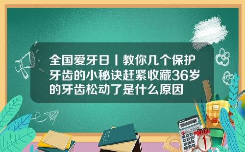 全国爱牙日丨教你几个保护牙齿的小秘诀赶紧收藏36岁的牙齿松动了是什么原因