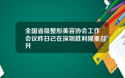 全国省级整形美容协会工作会议昨日已在深圳胜利隆重召开