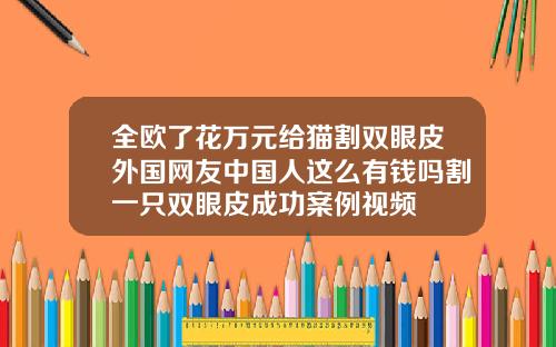 全欧了花万元给猫割双眼皮外国网友中国人这么有钱吗割一只双眼皮成功案例视频