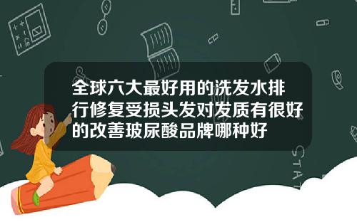 全球六大最好用的洗发水排行修复受损头发对发质有很好的改善玻尿酸品牌哪种好