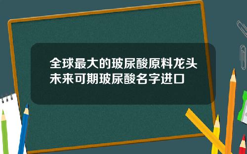 全球最大的玻尿酸原料龙头未来可期玻尿酸名字进口