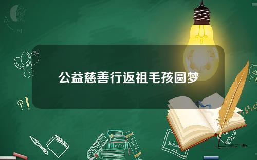 公益慈善行返祖毛孩圆梦