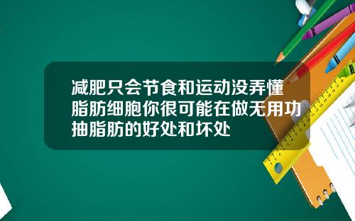 减肥只会节食和运动没弄懂脂肪细胞你很可能在做无用功抽脂肪的好处和坏处