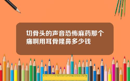 切骨头的声音恐怖麻药那个痛啊用耳骨隆鼻多少钱