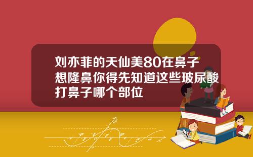 刘亦菲的天仙美80在鼻子想隆鼻你得先知道这些玻尿酸打鼻子哪个部位