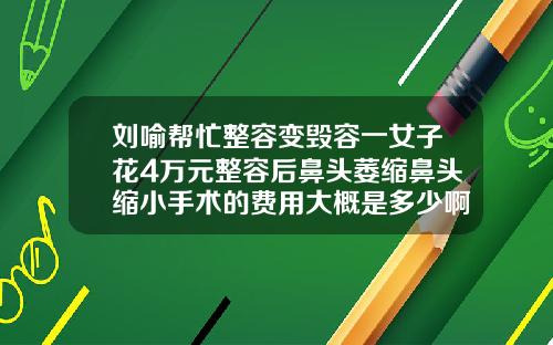 刘喻帮忙整容变毁容一女子花4万元整容后鼻头萎缩鼻头缩小手术的费用大概是多少啊