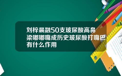 刘梓晨融50支玻尿酸高鼻梁嘟嘟嘴成历史玻尿酸打嘴巴有什么作用