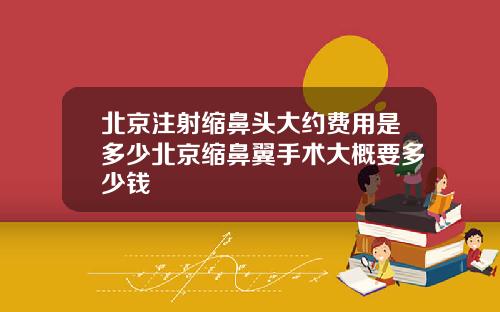 北京注射缩鼻头大约费用是多少北京缩鼻翼手术大概要多少钱