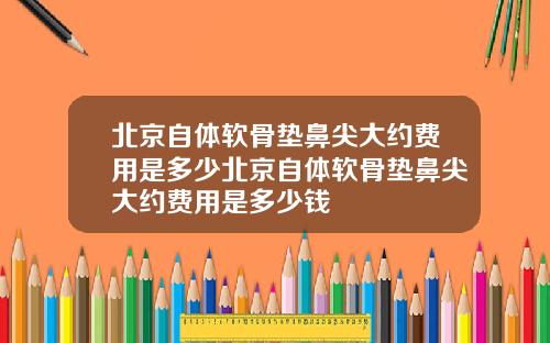 北京自体软骨垫鼻尖大约费用是多少北京自体软骨垫鼻尖大约费用是多少钱