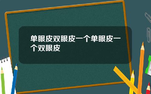 单眼皮双眼皮一个单眼皮一个双眼皮