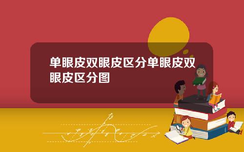 单眼皮双眼皮区分单眼皮双眼皮区分图