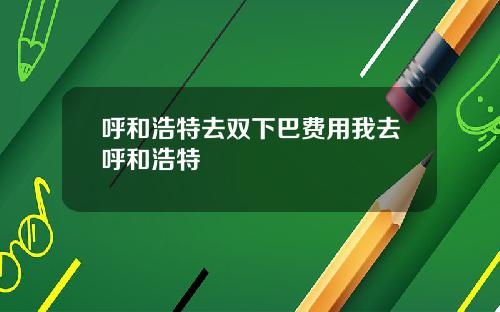 呼和浩特去双下巴费用我去呼和浩特
