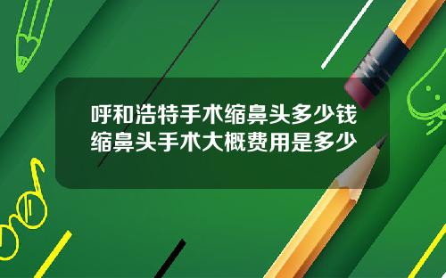 呼和浩特手术缩鼻头多少钱缩鼻头手术大概费用是多少