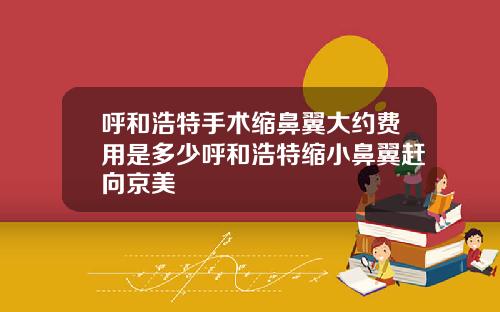 呼和浩特手术缩鼻翼大约费用是多少呼和浩特缩小鼻翼赶向京美