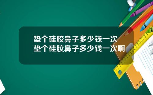垫个硅胶鼻子多少钱一次 垫个硅胶鼻子多少钱一次啊