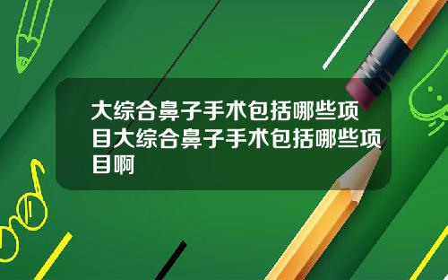 大综合鼻子手术包括哪些项目大综合鼻子手术包括哪些项目啊