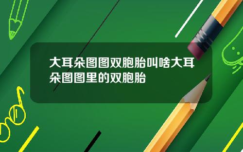 大耳朵图图双胞胎叫啥大耳朵图图里的双胞胎