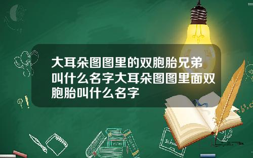大耳朵图图里的双胞胎兄弟叫什么名字大耳朵图图里面双胞胎叫什么名字