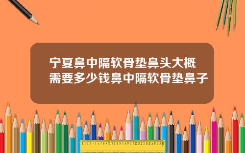宁夏鼻中隔软骨垫鼻头大概需要多少钱鼻中隔软骨垫鼻子
