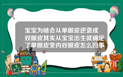 宝宝为啥会从单眼皮逆袭成双眼皮其实从宝宝出生就确定了单眼皮变内双眼皮怎么回事