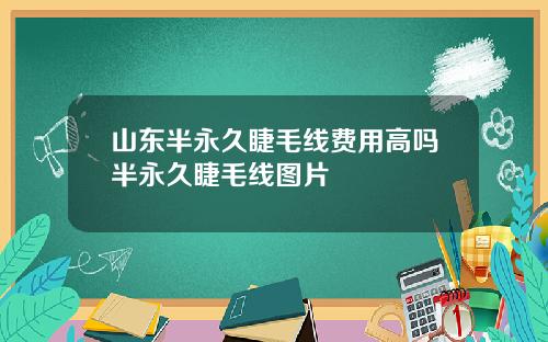 山东半永久睫毛线费用高吗半永久睫毛线图片