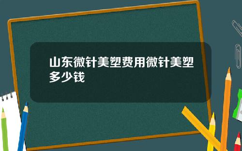 山东微针美塑费用微针美塑多少钱