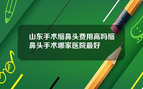 山东手术缩鼻头费用高吗缩鼻头手术哪家医院最好