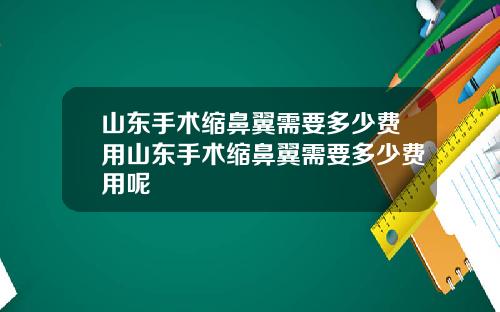 山东手术缩鼻翼需要多少费用山东手术缩鼻翼需要多少费用呢