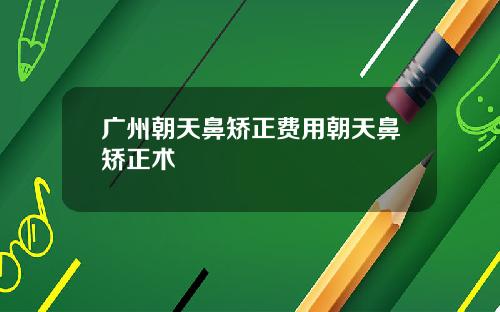 广州朝天鼻矫正费用朝天鼻矫正术