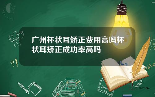 广州杯状耳矫正费用高吗杯状耳矫正成功率高吗