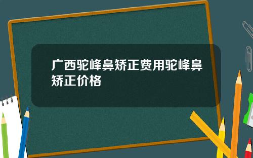 广西驼峰鼻矫正费用驼峰鼻矫正价格