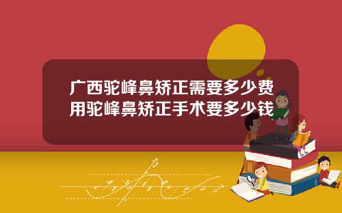 广西驼峰鼻矫正需要多少费用驼峰鼻矫正手术要多少钱