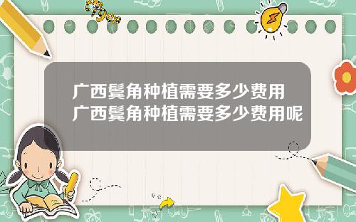 广西鬓角种植需要多少费用广西鬓角种植需要多少费用呢