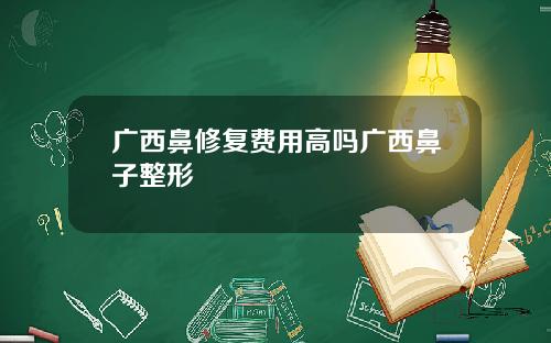 广西鼻修复费用高吗广西鼻子整形