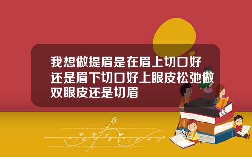 我想做提眉是在眉上切口好还是眉下切口好上眼皮松弛做双眼皮还是切眉
