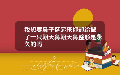 我想要鼻子挺起来你却给做了一只朝天鼻朝天鼻整形是永久的吗