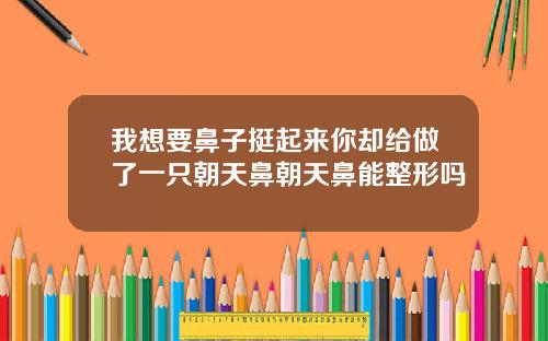 我想要鼻子挺起来你却给做了一只朝天鼻朝天鼻能整形吗