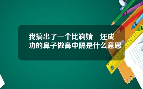 我搞出了一个比鞠婧祎还成功的鼻子做鼻中隔是什么意思